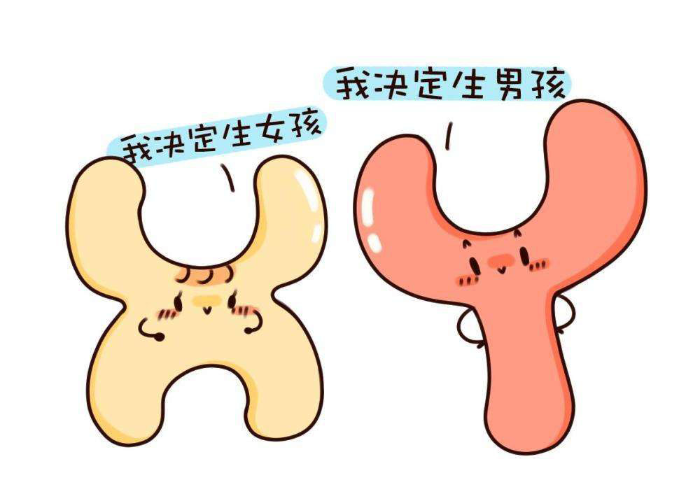 关于母血Y染色体的检测要求有哪些?孕妈需要注意这些!